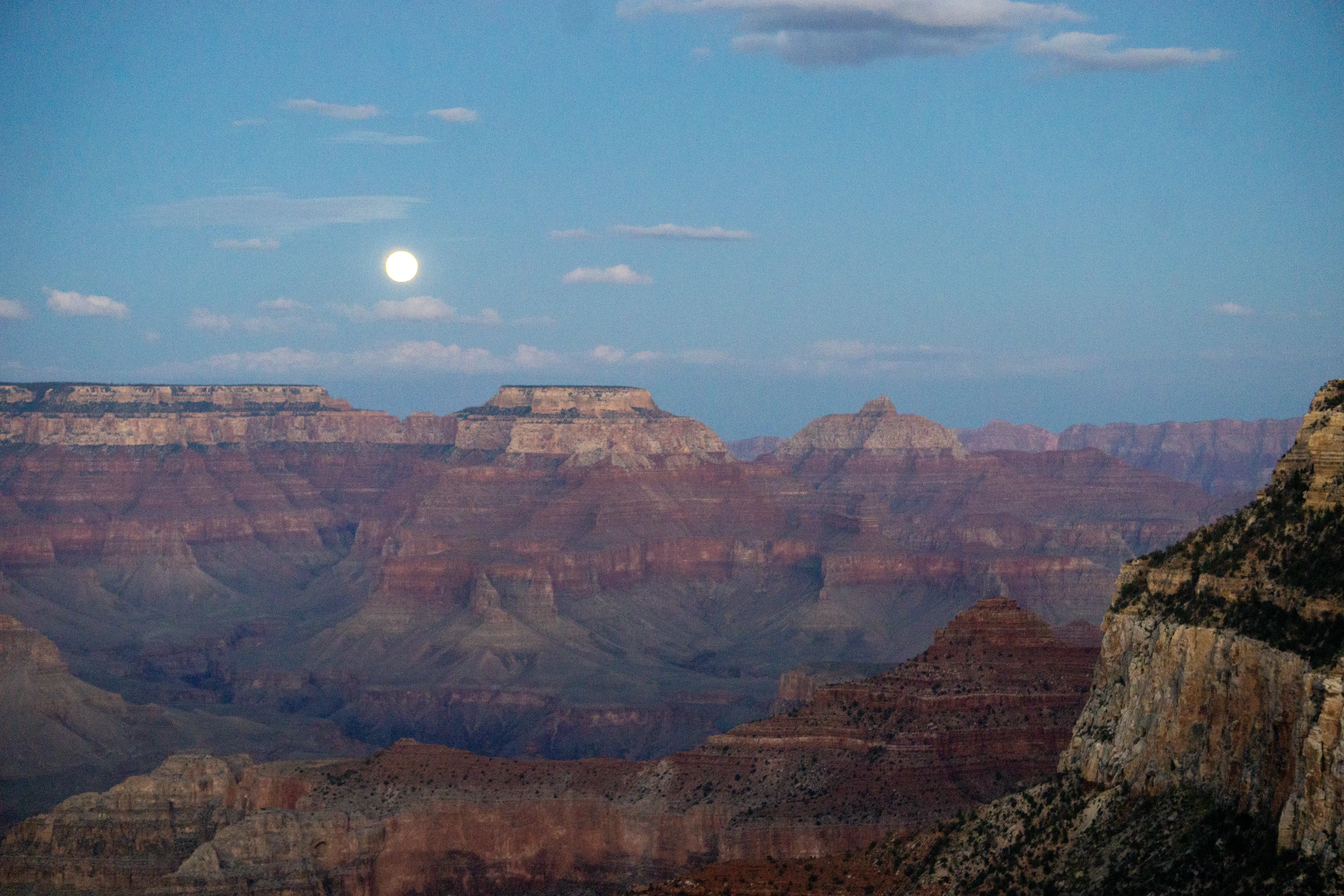 alt: A full moon rises over the Grand Canyon. The Canyon walls look pink.