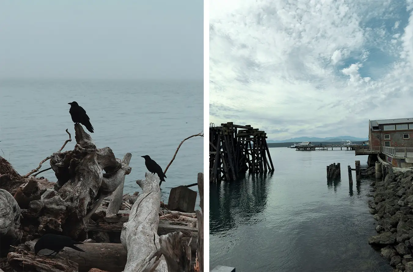 alt: Views of the Puget Sound.