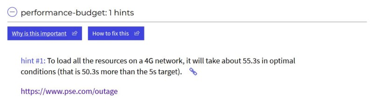 alt: webhint.io performance budget hint